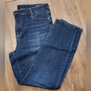 Buffalo, Molle High Rise, Stretch Skinny, 14, Medium Wash Denim